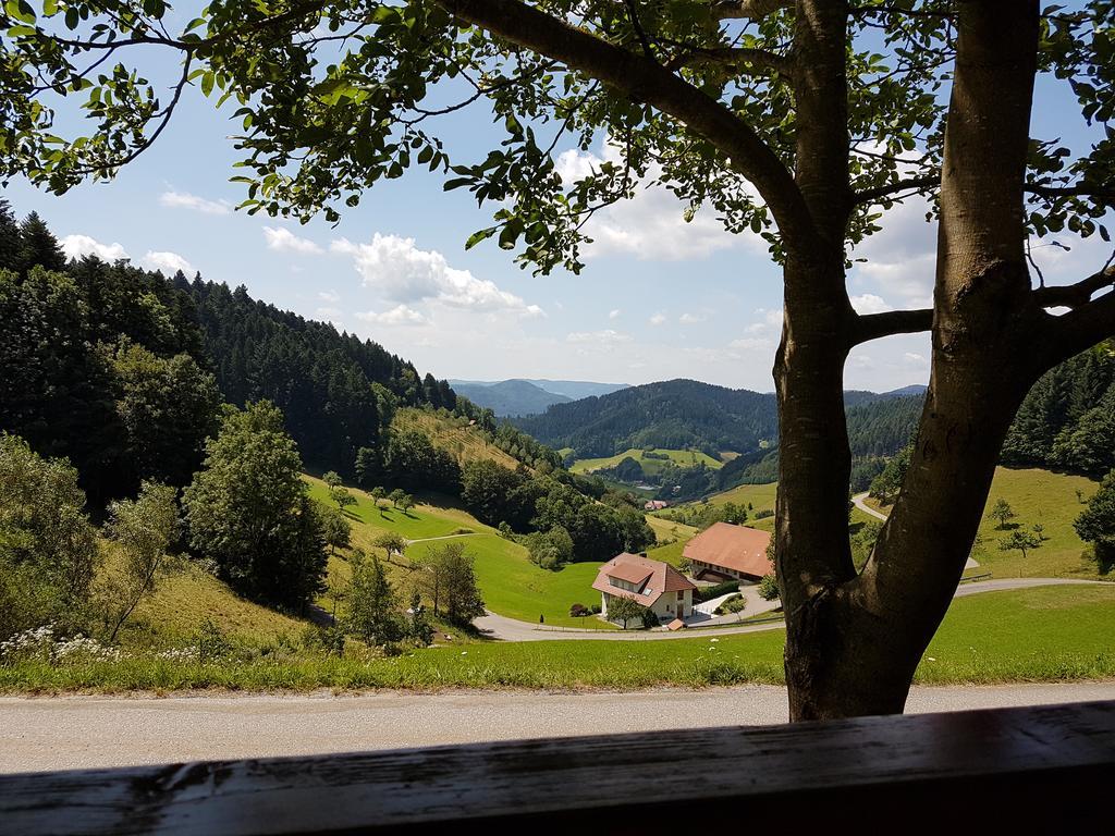 Hotel 3 Könige Oberwolfach Exterior foto